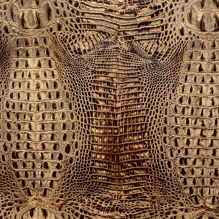 Designer Hornback Golden